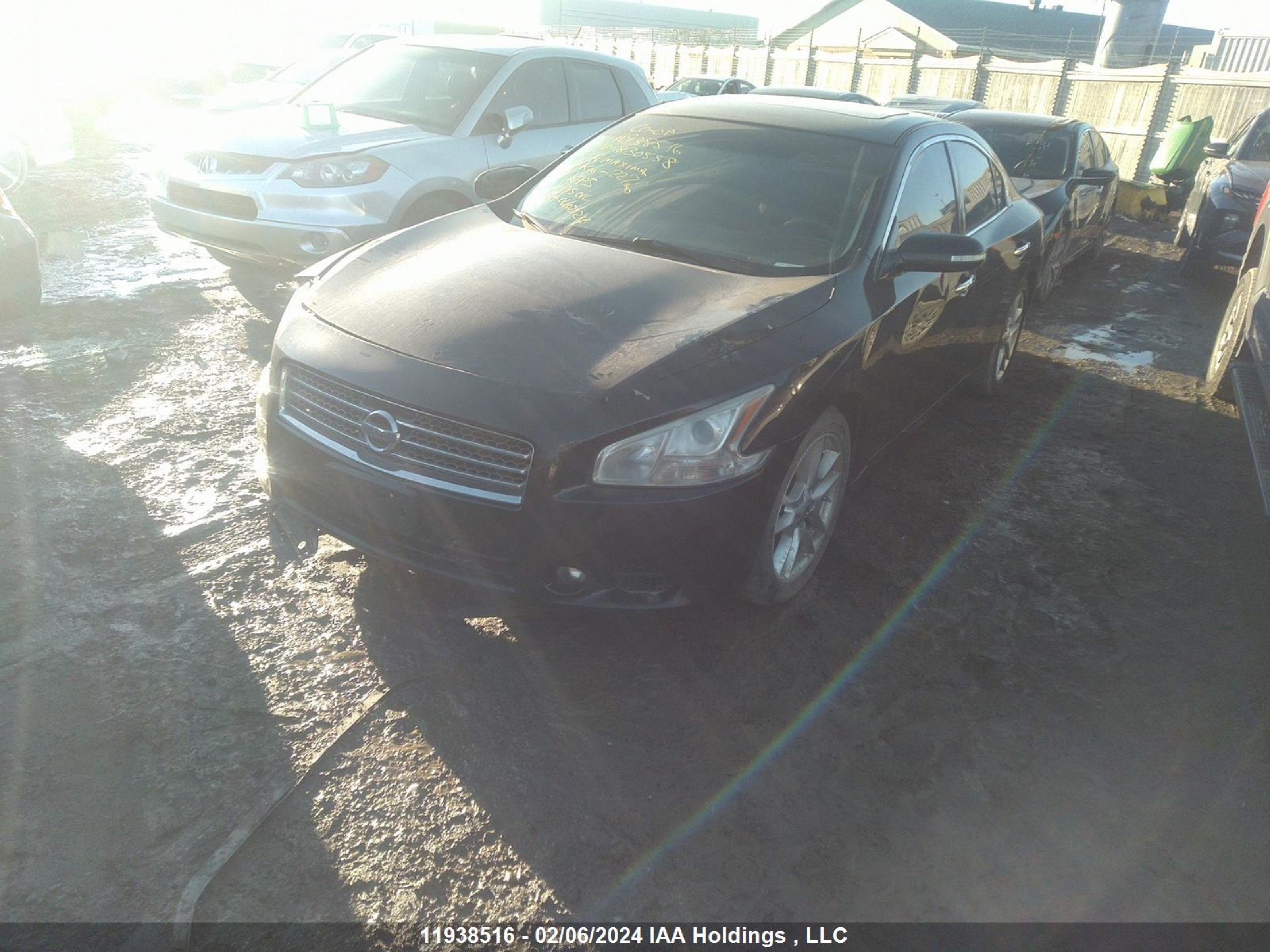 Photo 1 VIN: 1N4AA5AP0BC830558 - NISSAN MAXIMA 