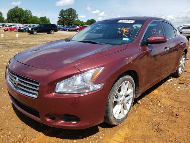 Photo 1 VIN: 1N4AA5AP0BC830673 - NISSAN MAXIMA S 