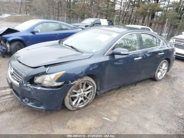 Photo 1 VIN: 1N4AA5AP0BC831077 - NISSAN MAXIMA 