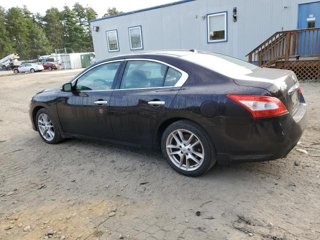 Photo 1 VIN: 1N4AA5AP0BC833301 - NISSAN MAXIMA 