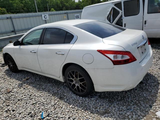 Photo 1 VIN: 1N4AA5AP0BC837512 - NISSAN MAXIMA 