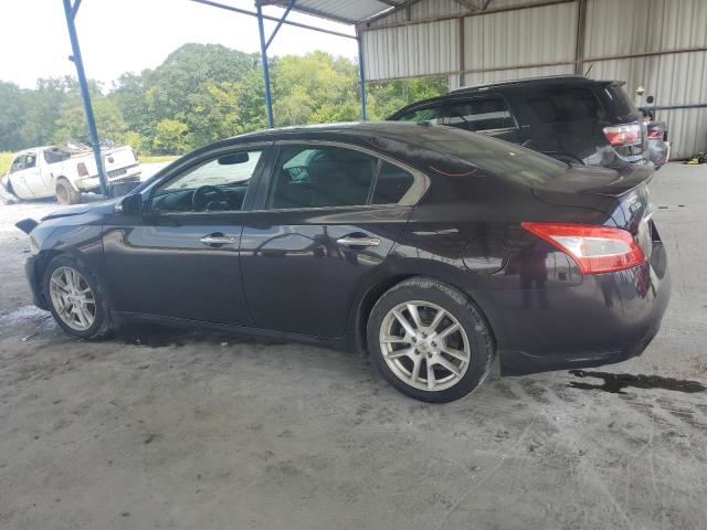 Photo 1 VIN: 1N4AA5AP0BC839499 - NISSAN MAXIMA S 