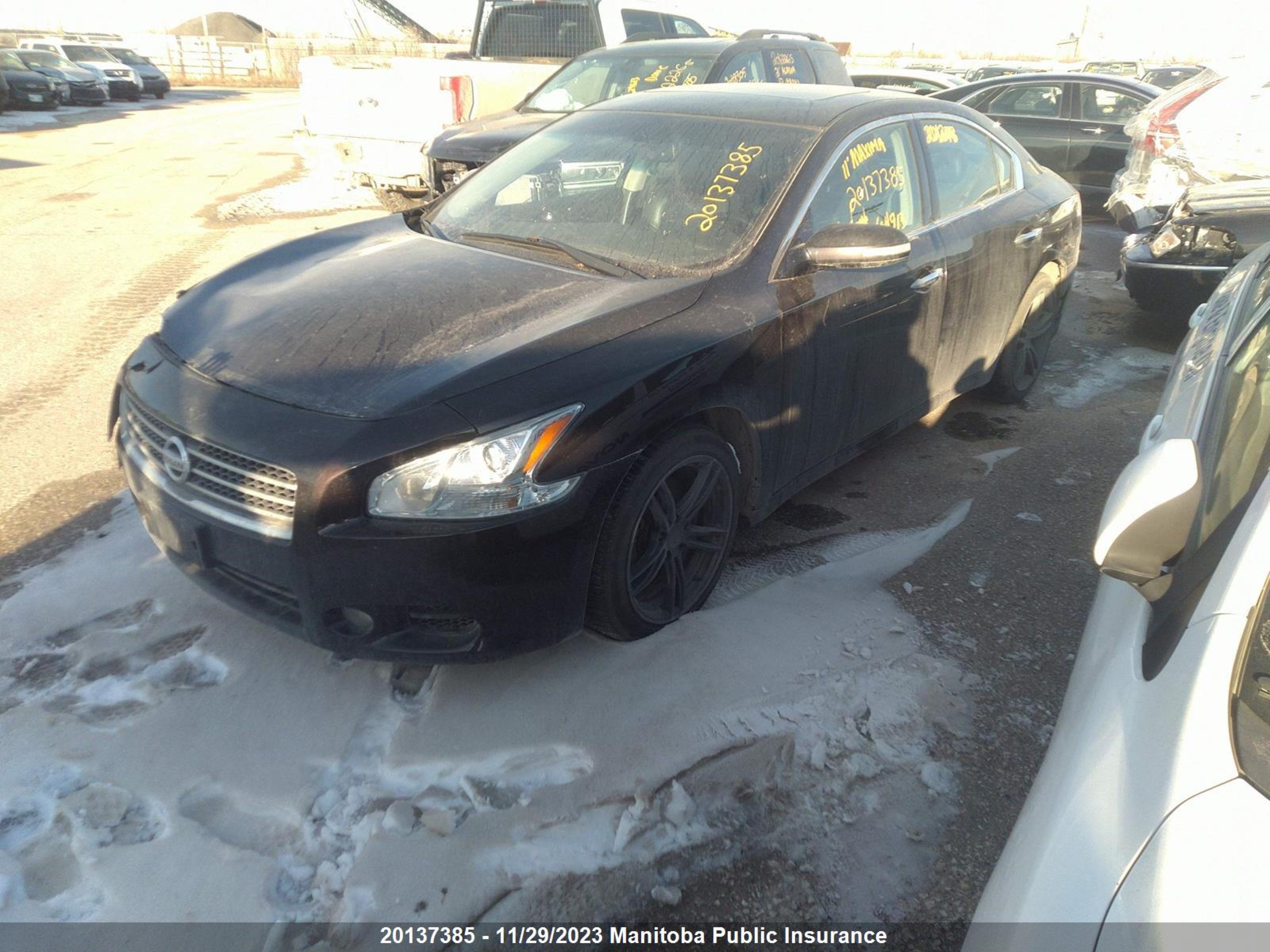 Photo 1 VIN: 1N4AA5AP0BC840913 - NISSAN MAXIMA 