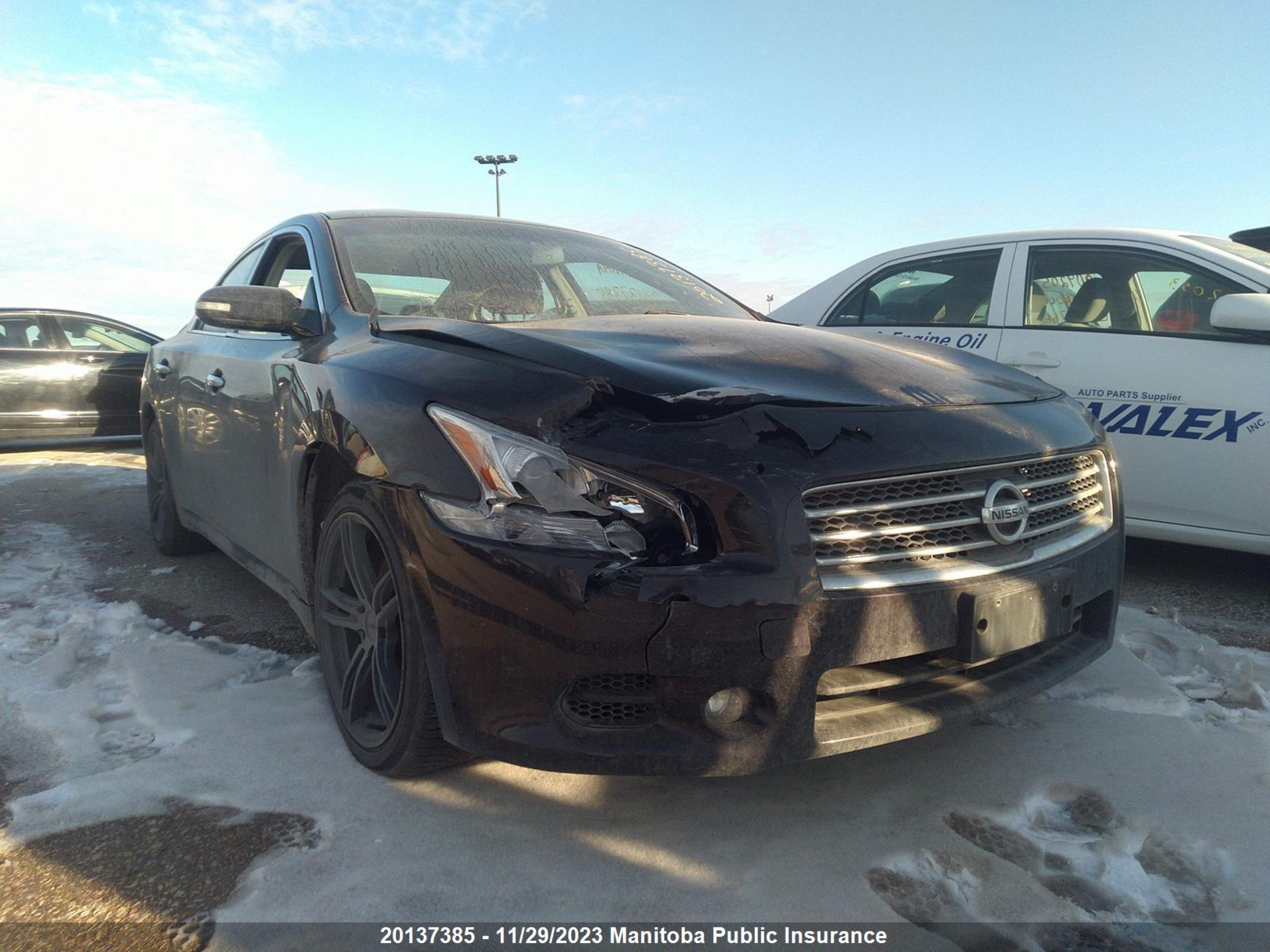 Photo 5 VIN: 1N4AA5AP0BC840913 - NISSAN MAXIMA 