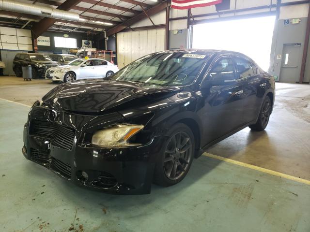 Photo 1 VIN: 1N4AA5AP0BC842242 - NISSAN MAXIMA S 