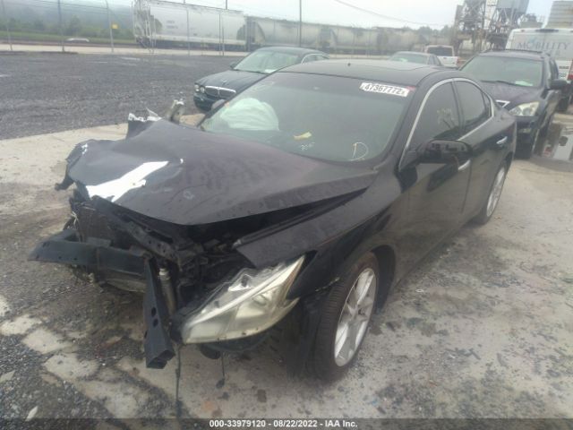 Photo 1 VIN: 1N4AA5AP0BC843777 - NISSAN MAXIMA 