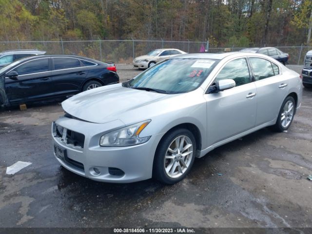 Photo 1 VIN: 1N4AA5AP0BC848672 - NISSAN MAXIMA 