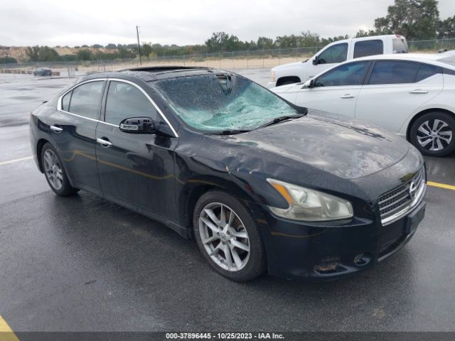 Photo 0 VIN: 1N4AA5AP0BC854486 - NISSAN MAXIMA 