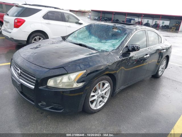 Photo 1 VIN: 1N4AA5AP0BC854486 - NISSAN MAXIMA 