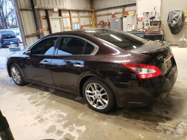 Photo 1 VIN: 1N4AA5AP0BC856593 - NISSAN MAXIMA 