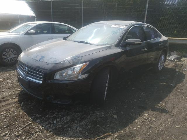 Photo 1 VIN: 1N4AA5AP0BC859235 - NISSAN MAXIMA S 