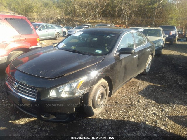 Photo 1 VIN: 1N4AA5AP0BC859283 - NISSAN MAXIMA 