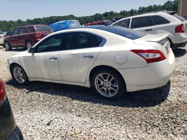 Photo 1 VIN: 1N4AA5AP0BC861678 - NISSAN MAXIMA 