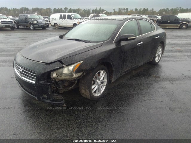 Photo 1 VIN: 1N4AA5AP0BC864385 - NISSAN MAXIMA 