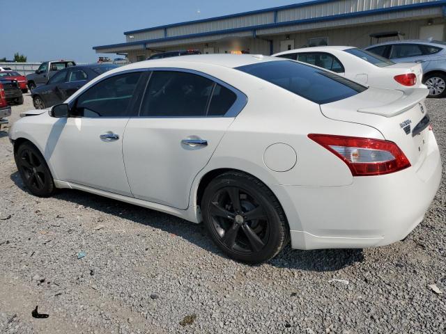 Photo 1 VIN: 1N4AA5AP0BC864855 - NISSAN MAXIMA S 