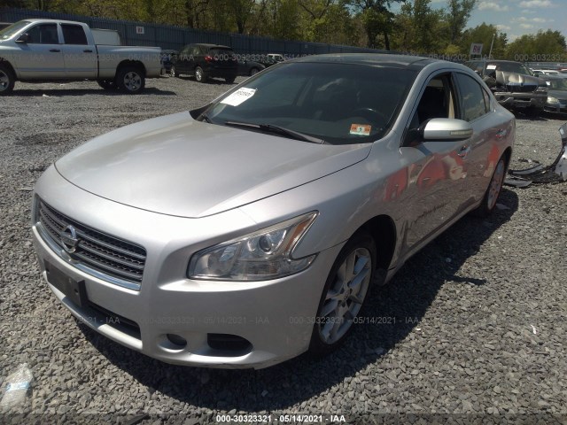 Photo 1 VIN: 1N4AA5AP0BC866069 - NISSAN MAXIMA 