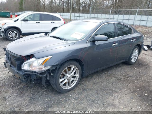 Photo 1 VIN: 1N4AA5AP0CC821179 - NISSAN MAXIMA 