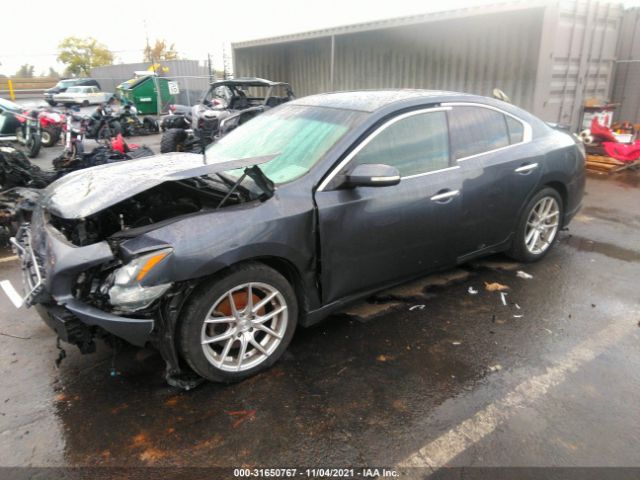 Photo 1 VIN: 1N4AA5AP0CC832697 - NISSAN MAXIMA 