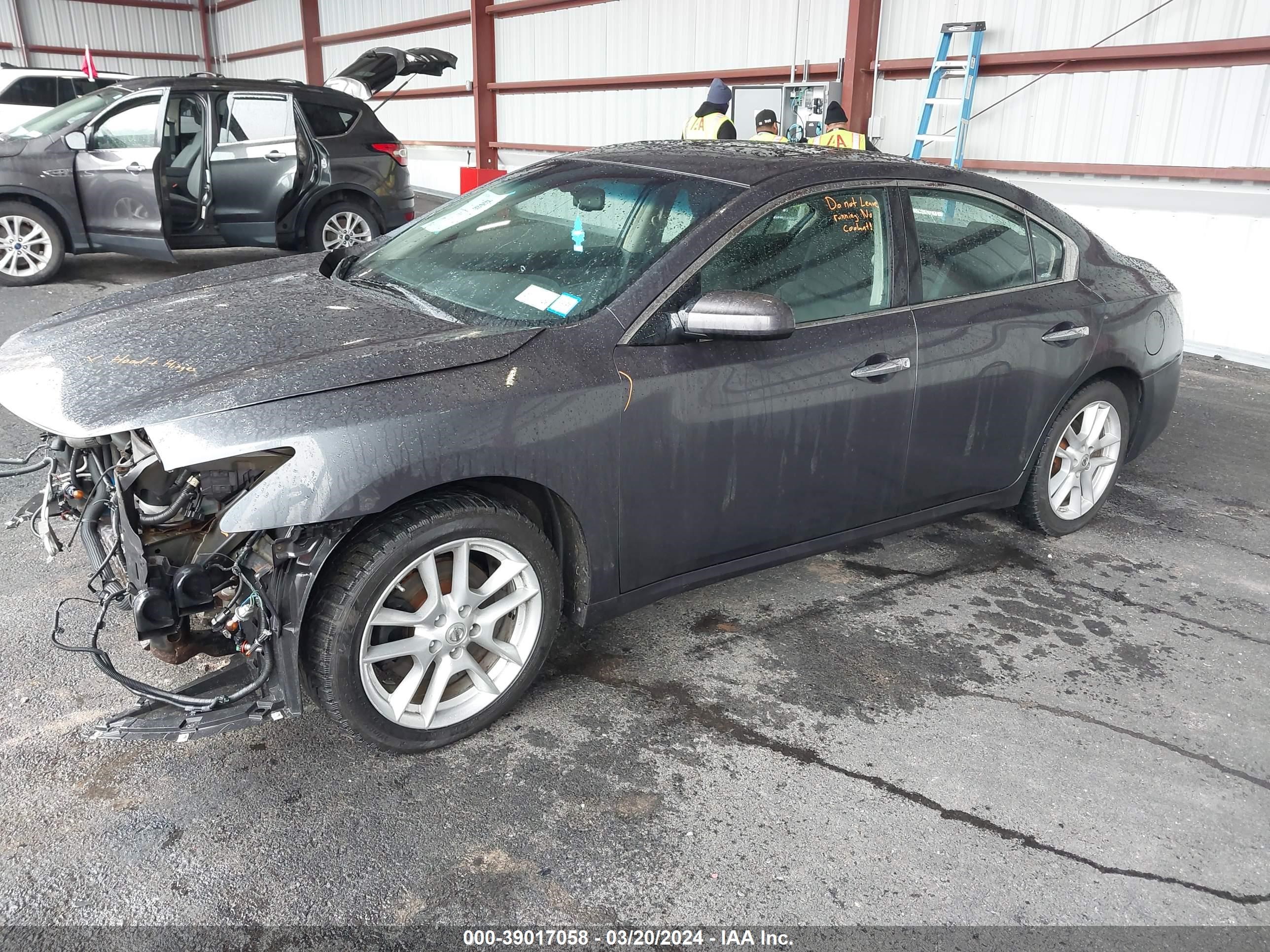 Photo 1 VIN: 1N4AA5AP0DC803797 - NISSAN MAXIMA 