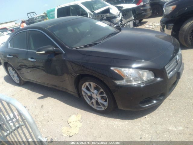 Photo 0 VIN: 1N4AA5AP0DC806893 - NISSAN MAXIMA 