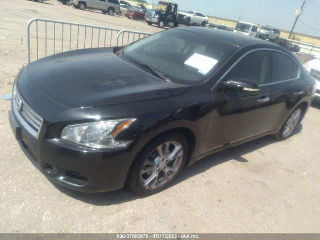 Photo 1 VIN: 1N4AA5AP0DC806893 - NISSAN MAXIMA 