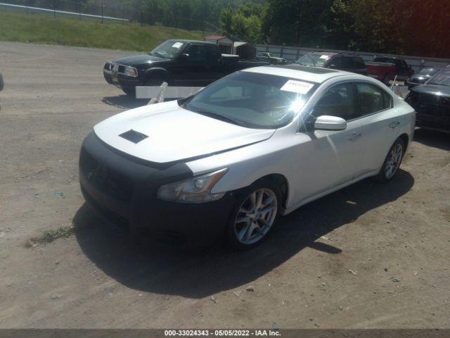 Photo 1 VIN: 1N4AA5AP0DC811608 - NISSAN MAXIMA 