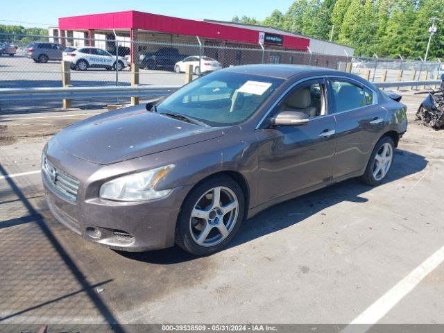 Photo 1 VIN: 1N4AA5AP0DC811883 - NISSAN MAXIMA 