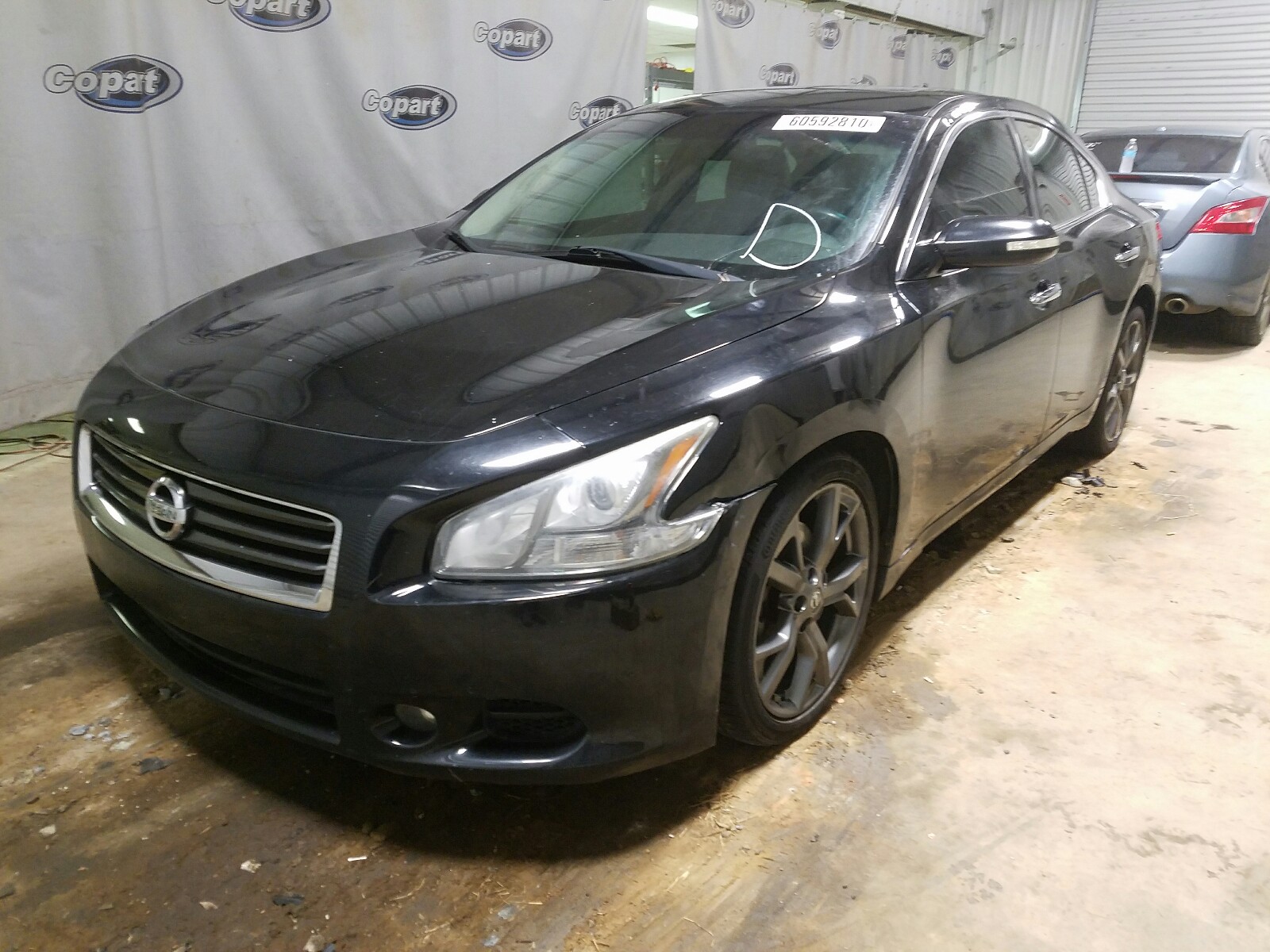 Photo 1 VIN: 1N4AA5AP0DC825783 - NISSAN MAXIMA S 