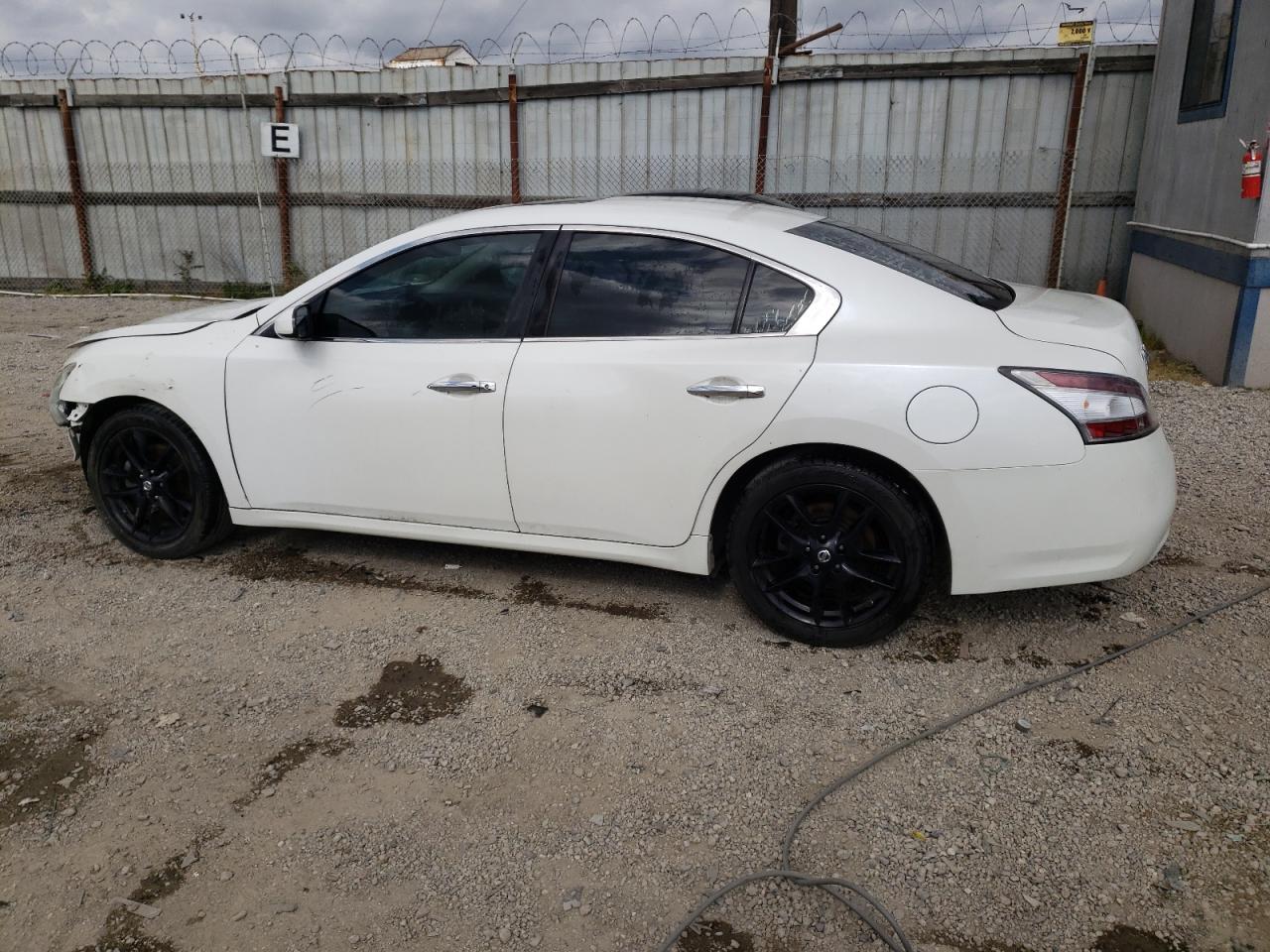 Photo 1 VIN: 1N4AA5AP0DC830174 - NISSAN MAXIMA 