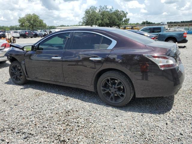 Photo 1 VIN: 1N4AA5AP0EC481891 - NISSAN MAXIMA 