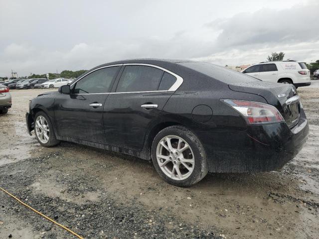 Photo 1 VIN: 1N4AA5AP0EC905019 - NISSAN MAXIMA S 