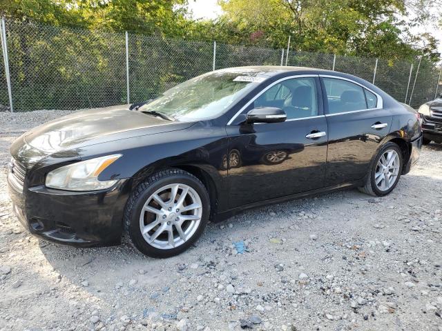 Photo 0 VIN: 1N4AA5AP1AC803819 - NISSAN MAXIMA S 