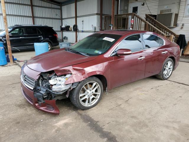 Photo 0 VIN: 1N4AA5AP1AC835475 - NISSAN MAXIMA 