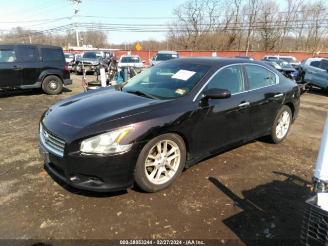 Photo 1 VIN: 1N4AA5AP1AC838179 - NISSAN MAXIMA 