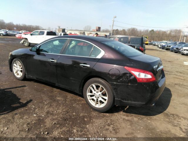 Photo 2 VIN: 1N4AA5AP1AC838179 - NISSAN MAXIMA 