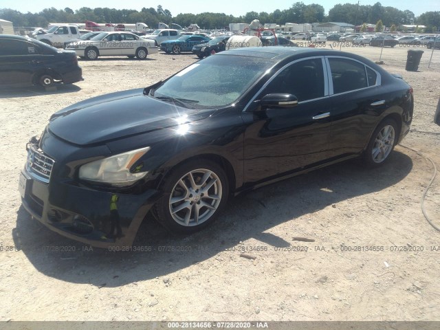 Photo 1 VIN: 1N4AA5AP1BC800677 - NISSAN MAXIMA 