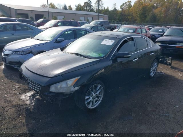 Photo 1 VIN: 1N4AA5AP1BC800842 - NISSAN MAXIMA 