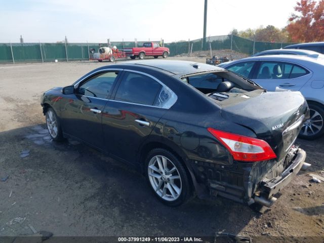 Photo 2 VIN: 1N4AA5AP1BC800842 - NISSAN MAXIMA 