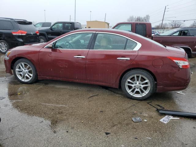 Photo 1 VIN: 1N4AA5AP1BC801666 - NISSAN MAXIMA 