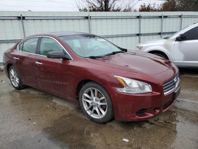 Photo 3 VIN: 1N4AA5AP1BC801666 - NISSAN MAXIMA 