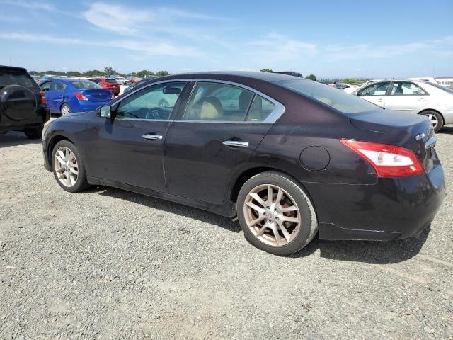 Photo 1 VIN: 1N4AA5AP1BC802817 - NISSAN MAXIMA 