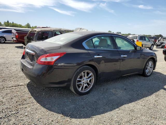 Photo 2 VIN: 1N4AA5AP1BC802817 - NISSAN MAXIMA 