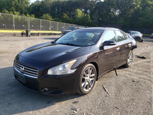 Photo 1 VIN: 1N4AA5AP1BC804213 - NISSAN MAXIMA S 