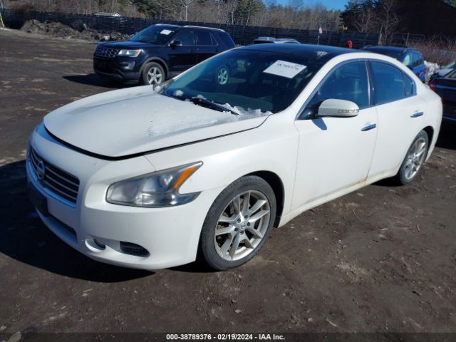 Photo 1 VIN: 1N4AA5AP1BC807371 - NISSAN MAXIMA 