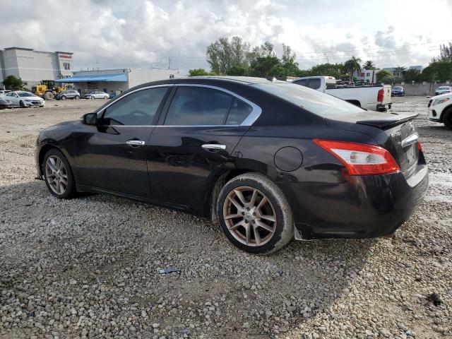 Photo 1 VIN: 1N4AA5AP1BC807631 - NISSAN MAXIMA S 