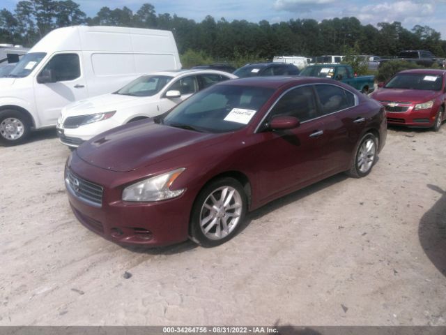 Photo 1 VIN: 1N4AA5AP1BC814191 - NISSAN MAXIMA 