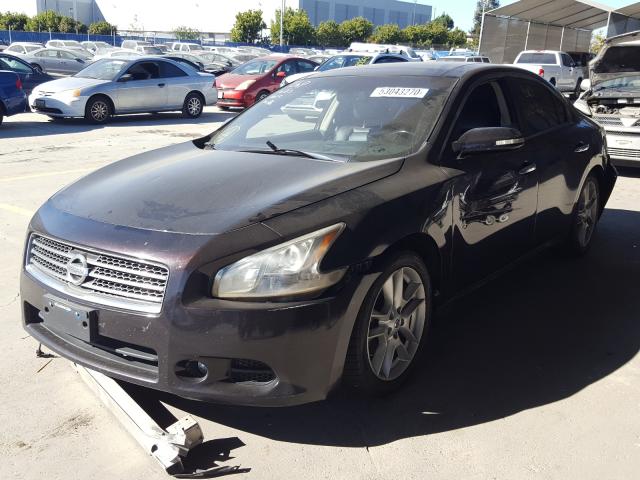 Photo 1 VIN: 1N4AA5AP1BC825885 - NISSAN MAXIMA S 