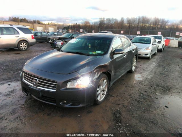 Photo 1 VIN: 1N4AA5AP1BC829886 - NISSAN MAXIMA 