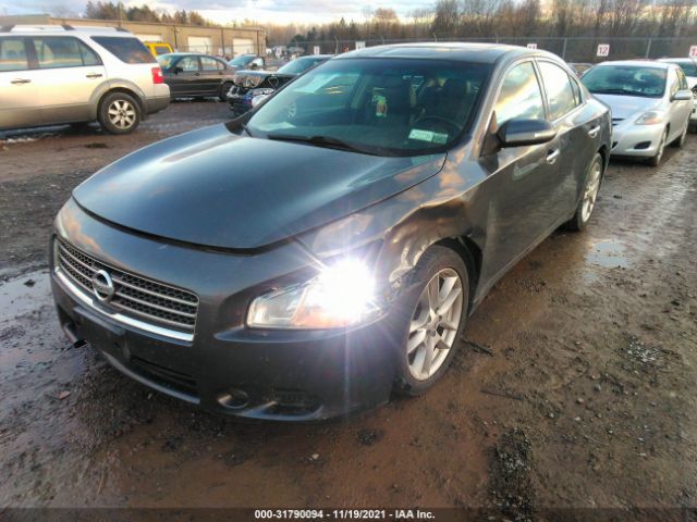 Photo 5 VIN: 1N4AA5AP1BC829886 - NISSAN MAXIMA 