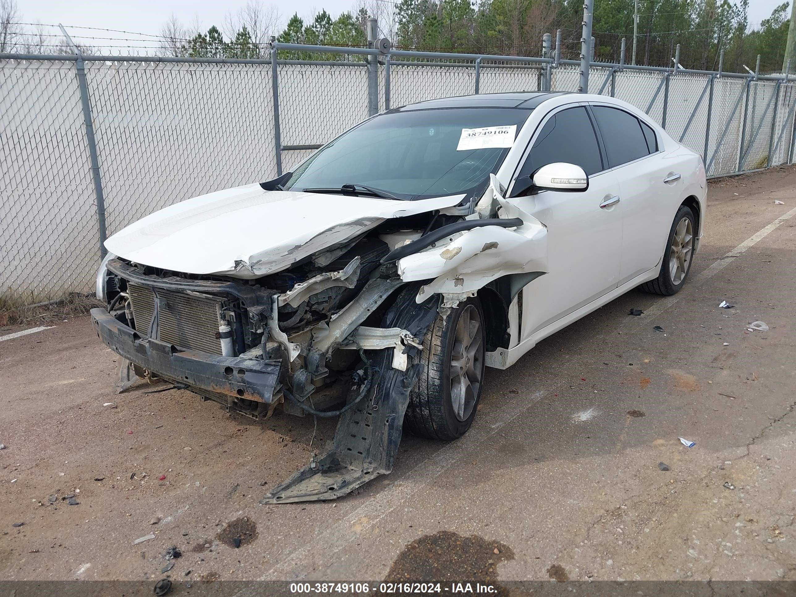 Photo 1 VIN: 1N4AA5AP1BC831024 - NISSAN MAXIMA 